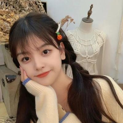 反黑英雄国语