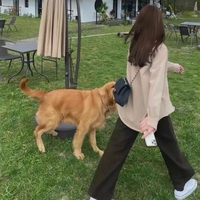 花街时代
